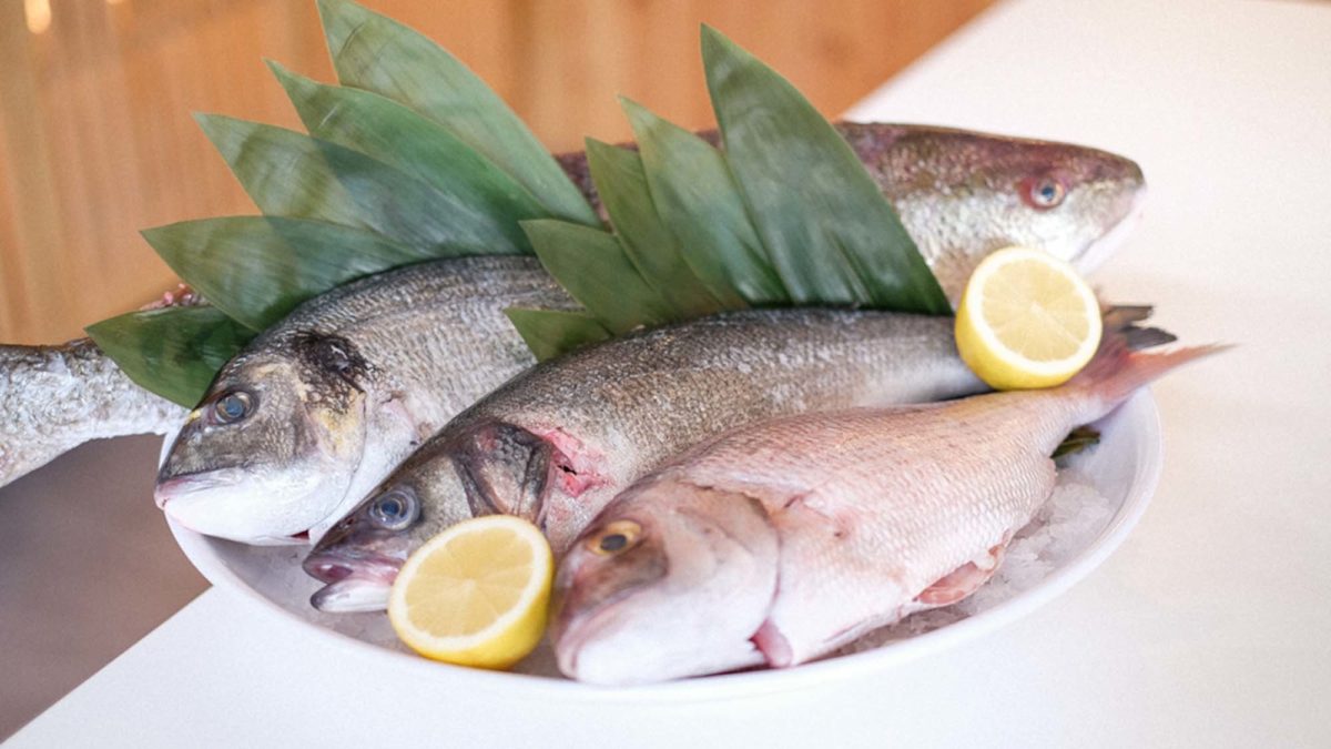 SushiCorner apresenta opção “Peixe do Dia”