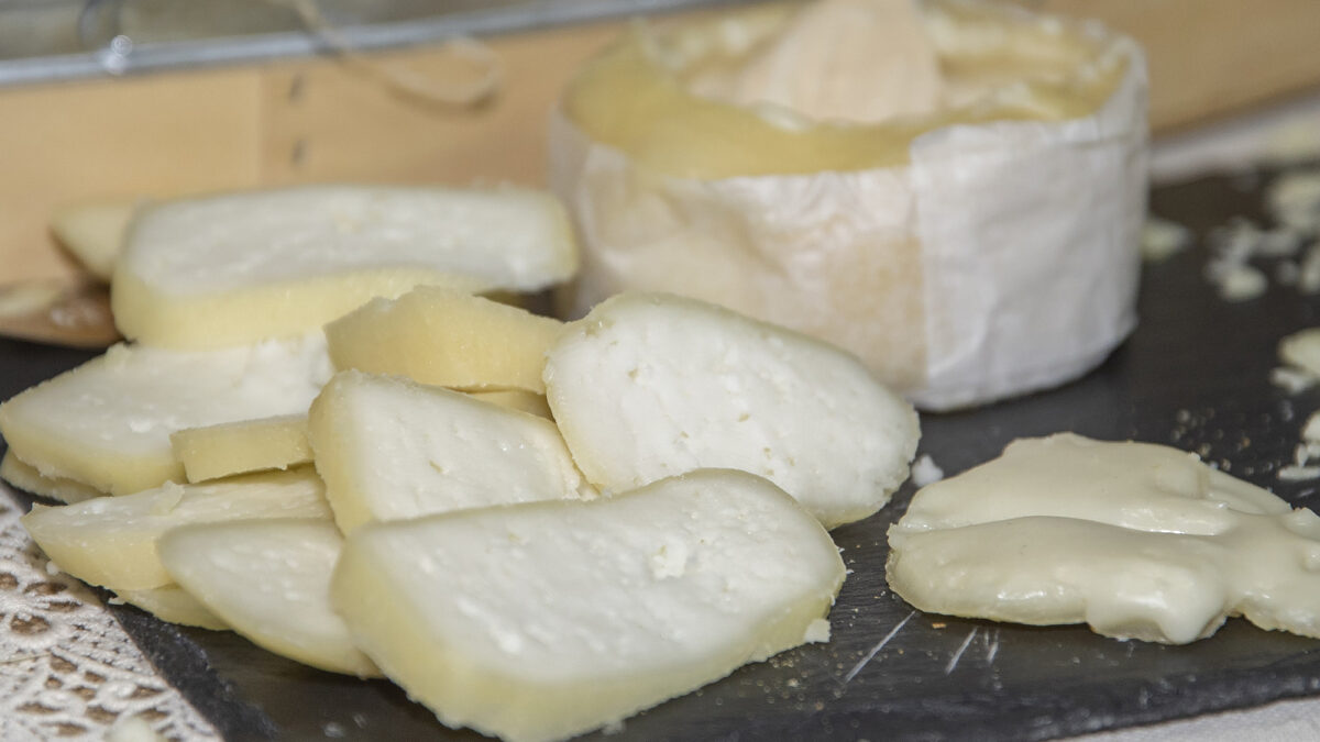 Queijo de Azeitão entre os 50 melhores queijos do mundo