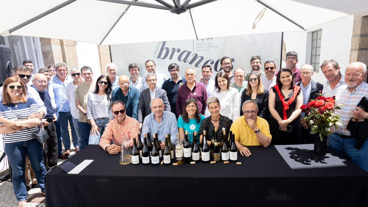 Murça volta a ser palco dos grandes vinhos brancos do Douro