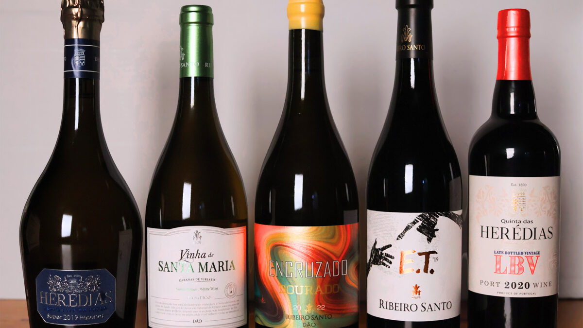 Novos vinhos do enólogo Carlos Lucas
