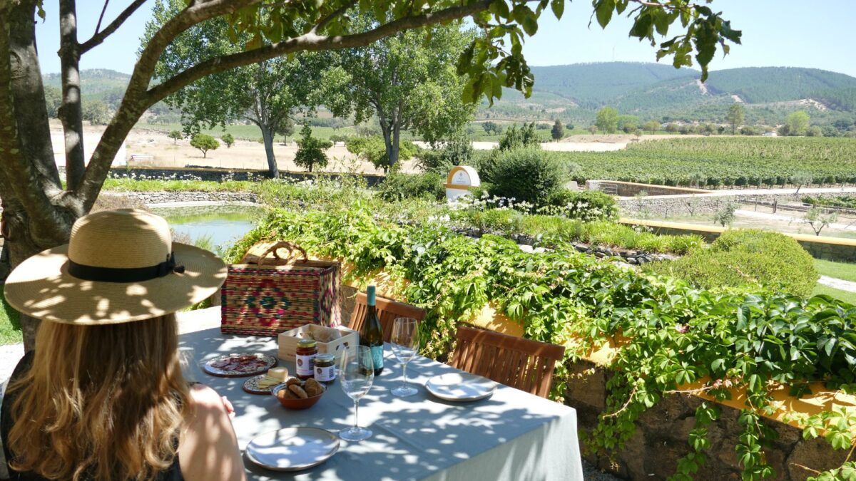 Quinta de Fonte Souto com atividades na vinha